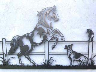 INT13 - Cheval Chien et Chat